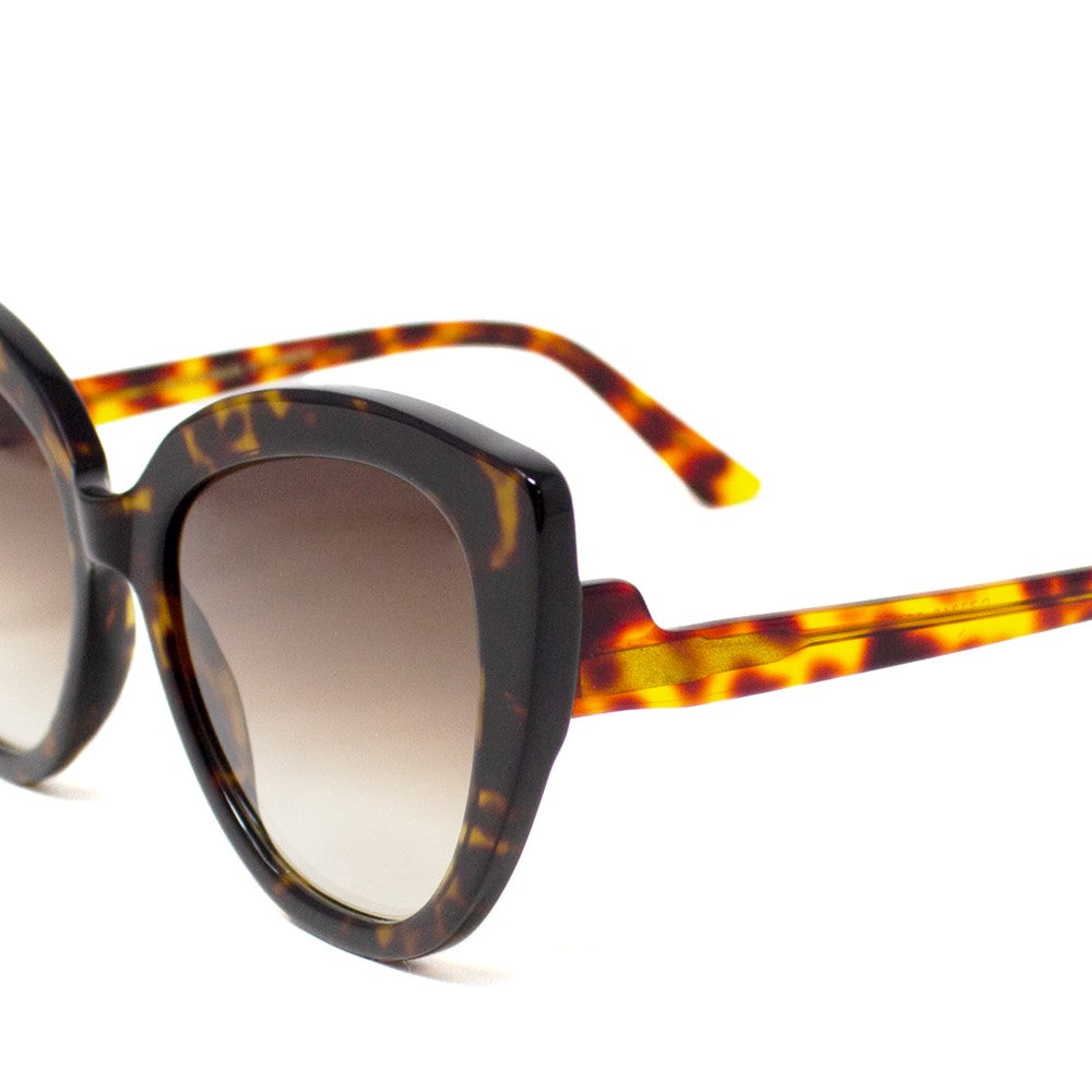 #tortuga-morada