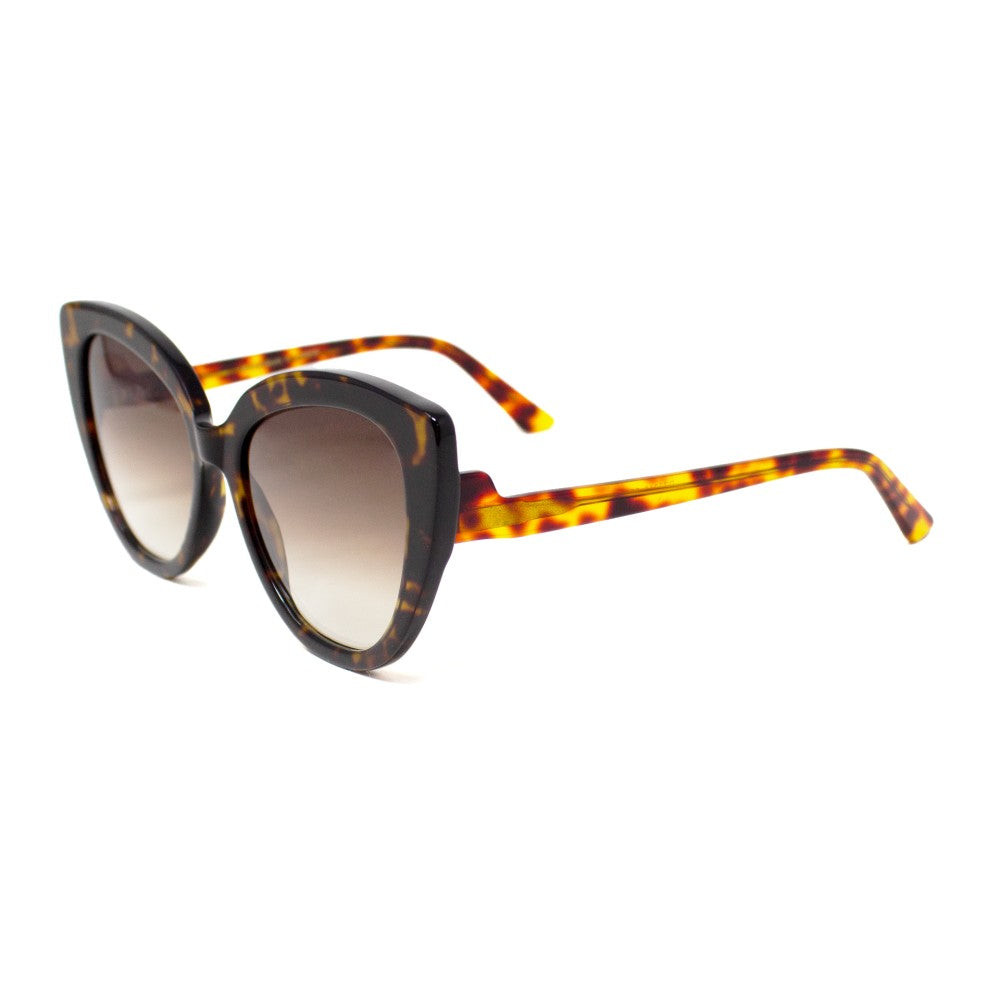 #tortuga-morada